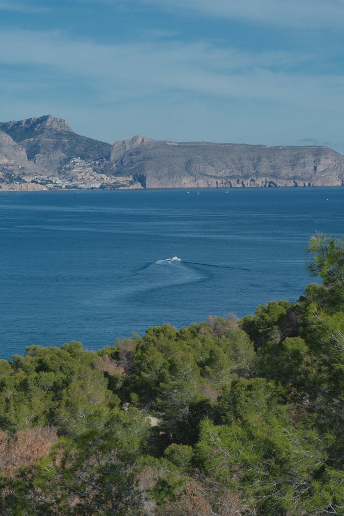 Services-02 Scenic landscape of El Albir with a boat on the Mediterranean Sea and lush greenery.